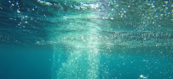 Dissolved Oxygen Measurement