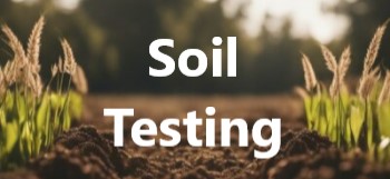 Soil Testing